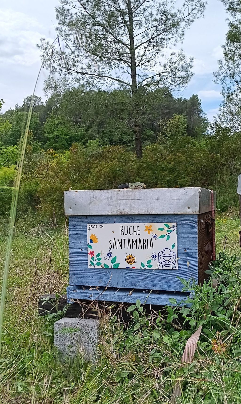 La ruche Santamaria