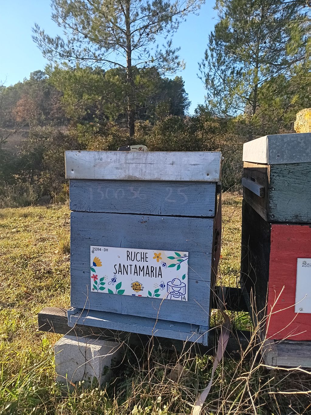 La ruche Santamaria