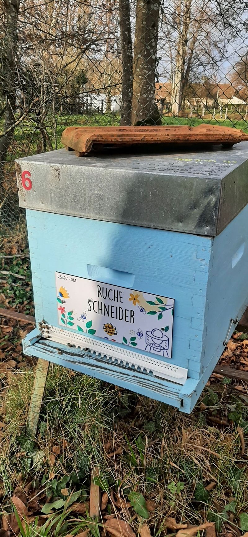 La ruche Schneider