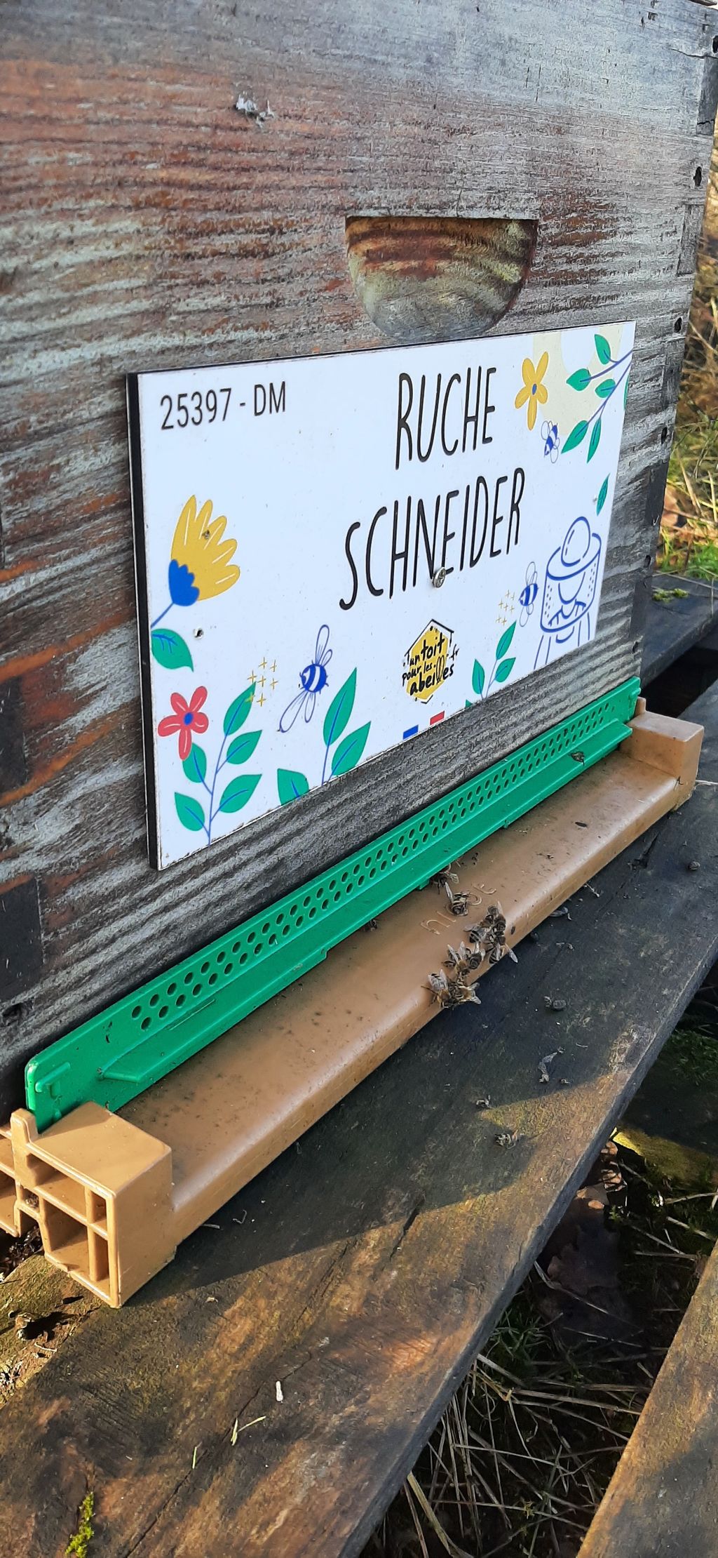 La ruche Schneider