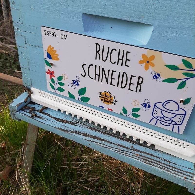 La ruche Schneider