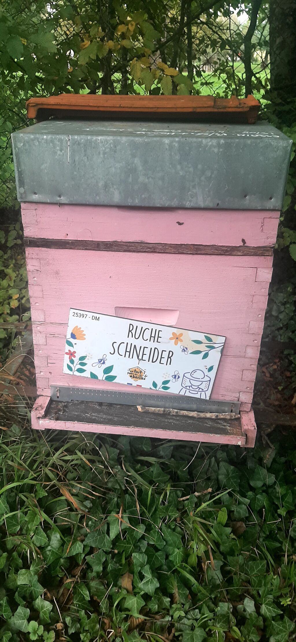La ruche Schneider