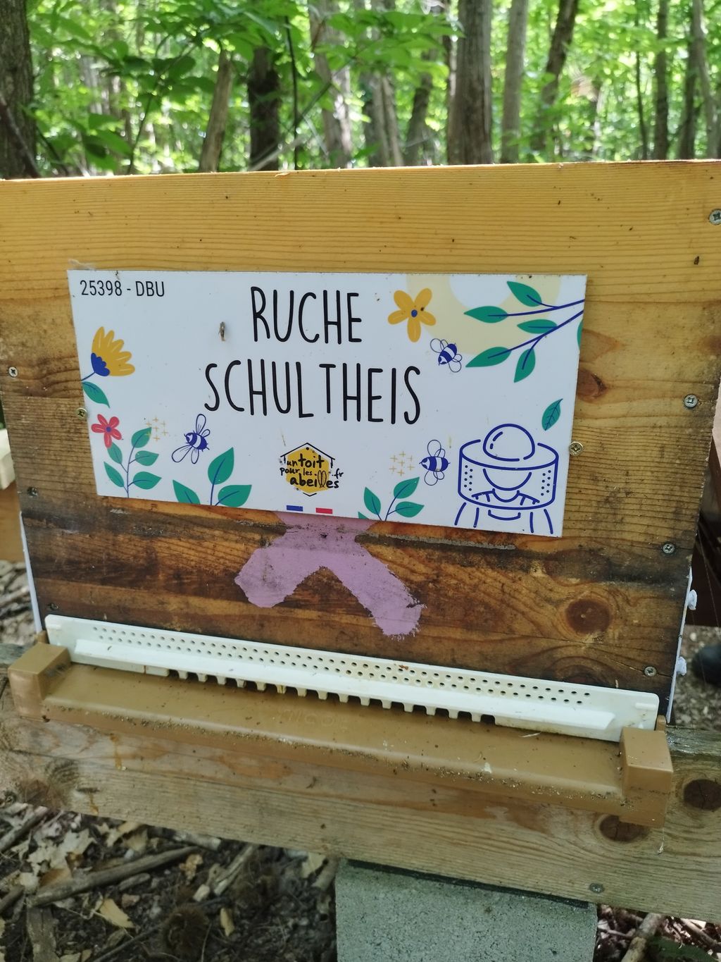La ruche Schultheis