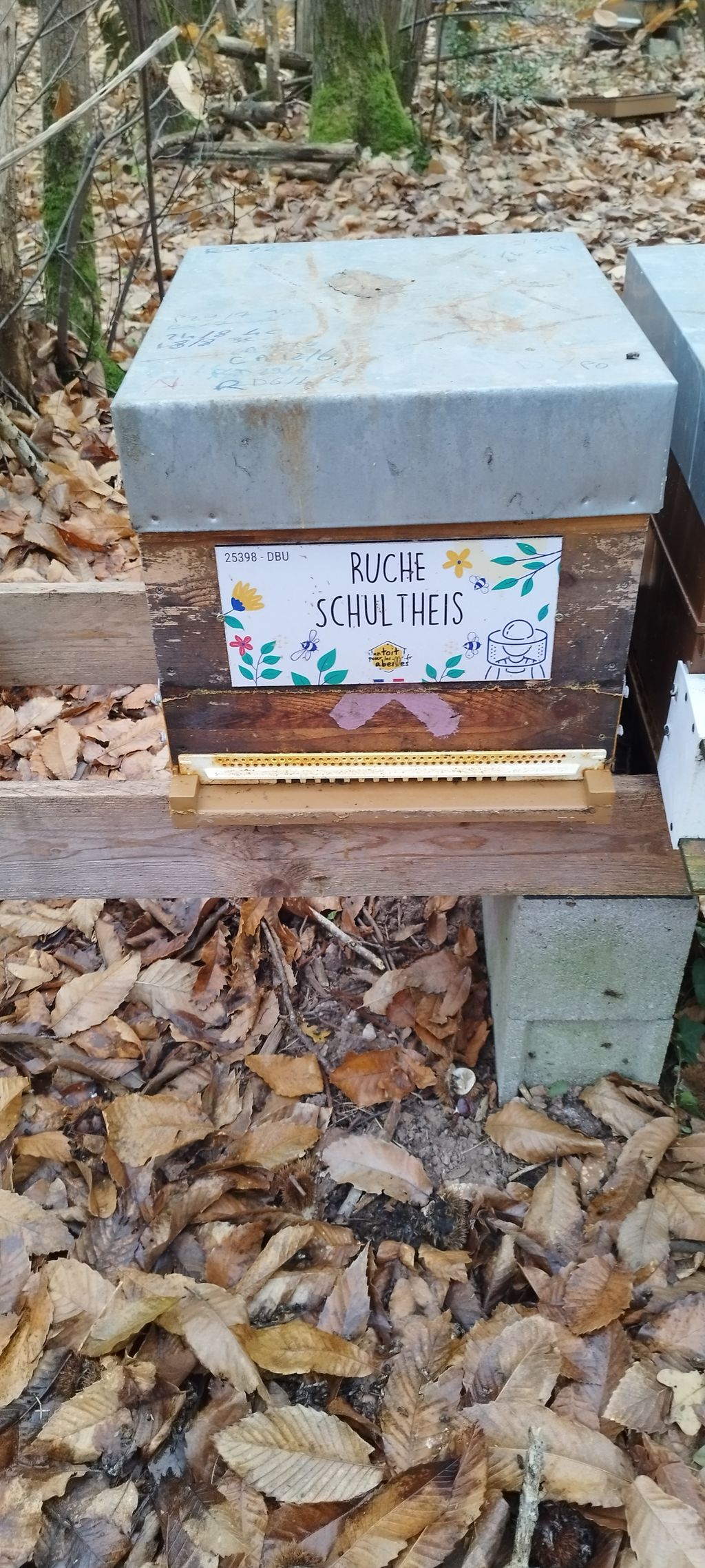 La ruche Schultheis