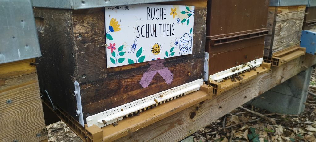 La ruche Schultheis