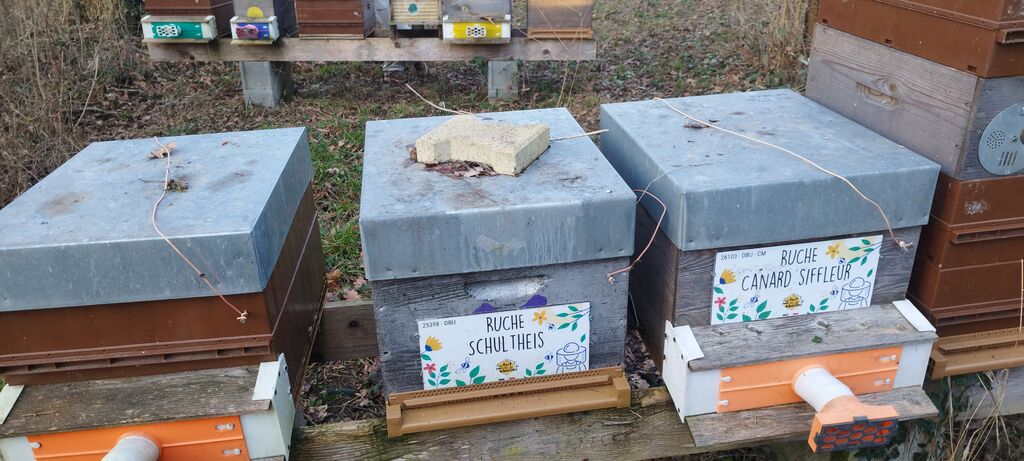 La ruche Schultheis