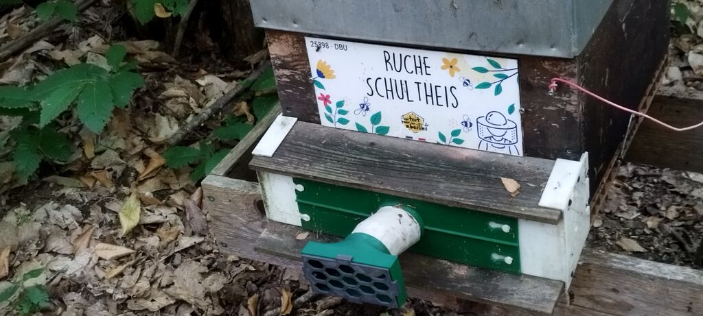 La ruche Schultheis