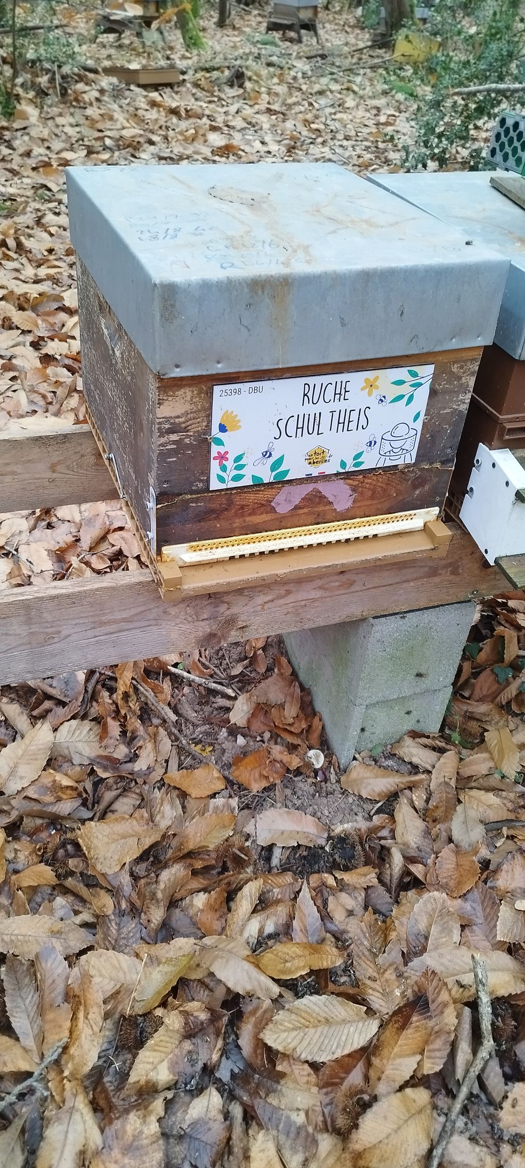 La ruche Schultheis
