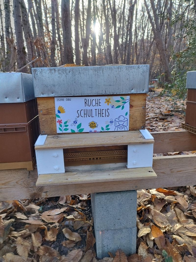 La ruche Schultheis