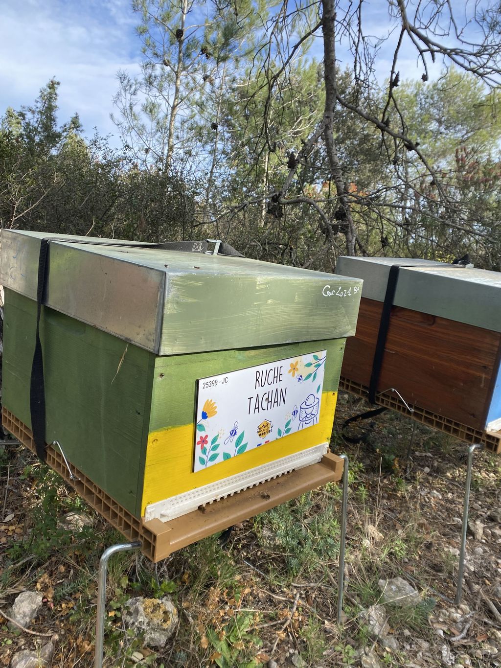 La ruche Tachan