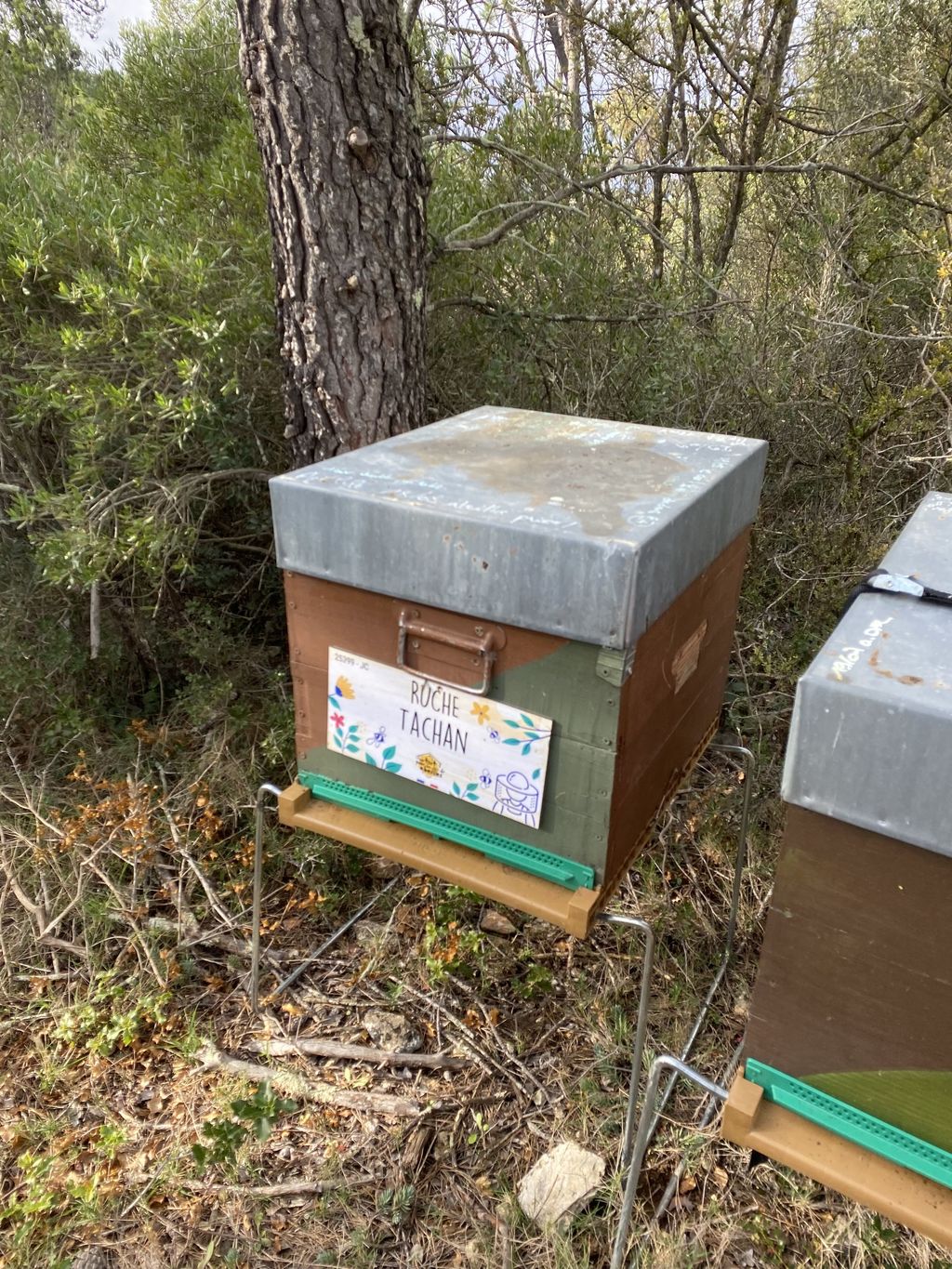 La ruche Tachan