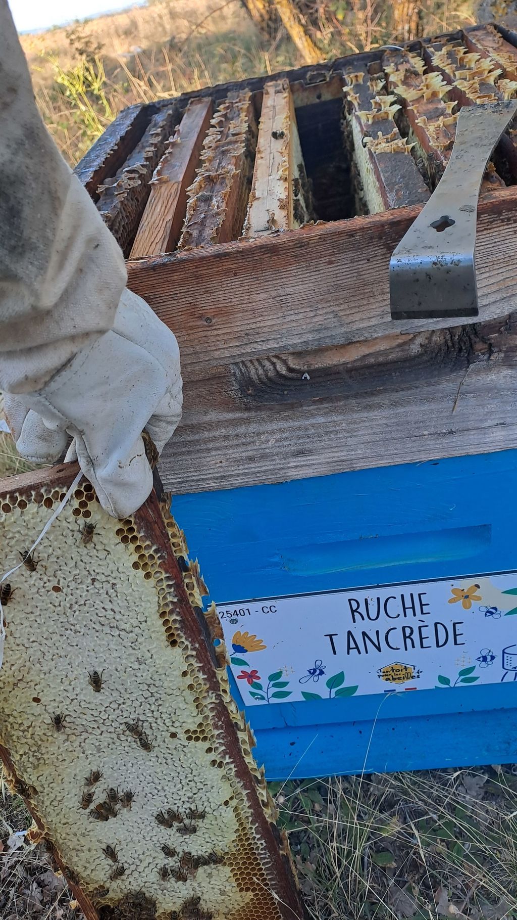 La ruche