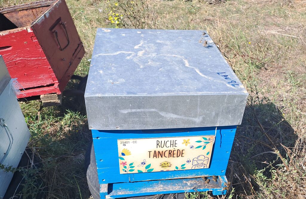 La ruche Tancrède