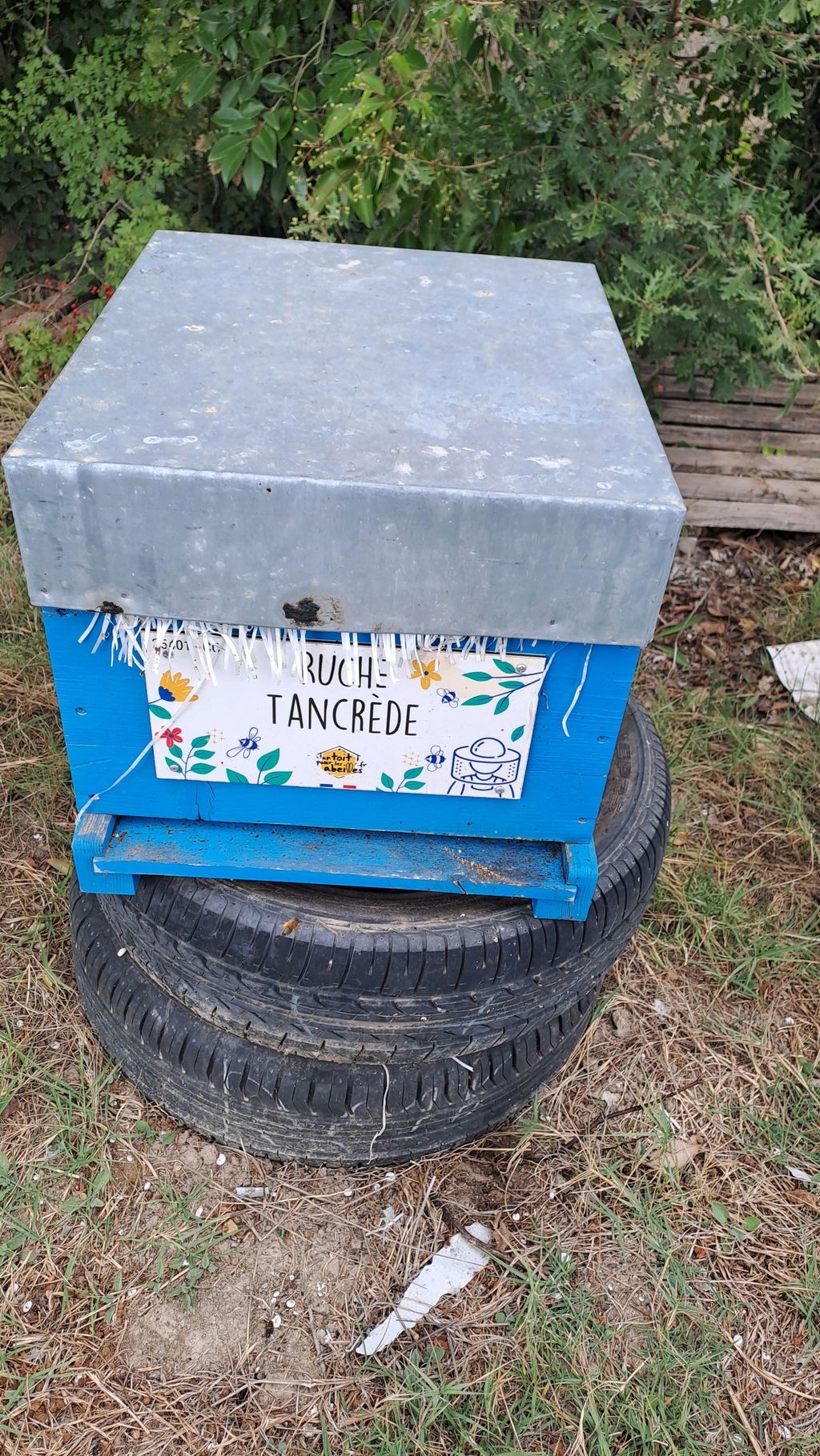 La ruche Tancrède