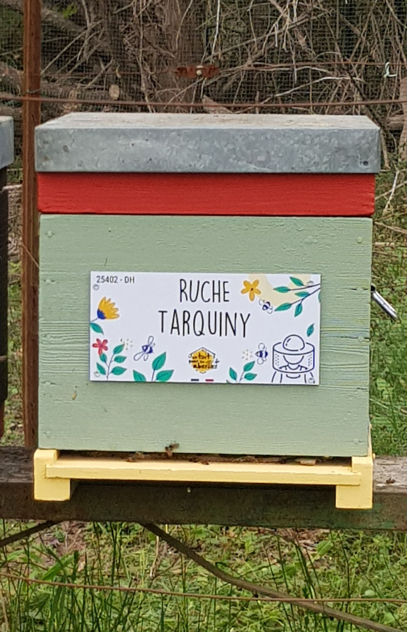 La ruche Tarquiny