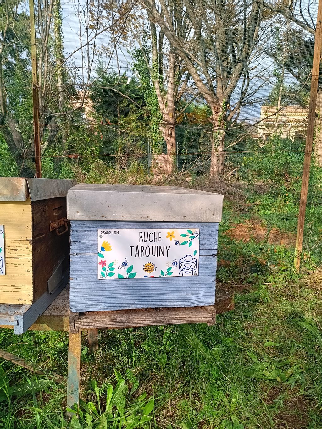 La ruche Tarquiny