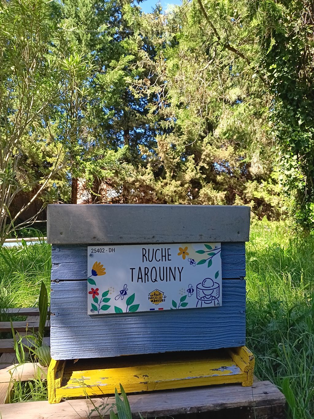La ruche Tarquiny