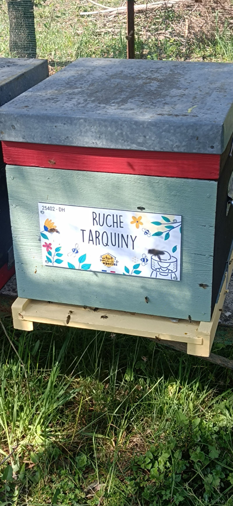 La ruche Tarquiny