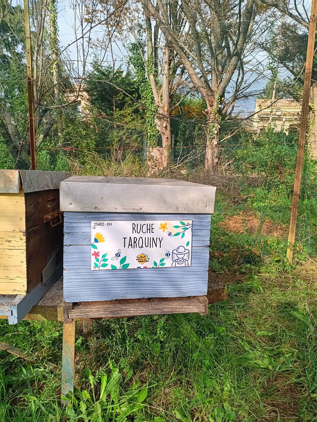 La ruche Tarquiny