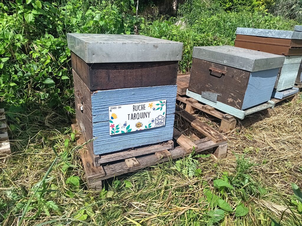 La ruche Tarquiny