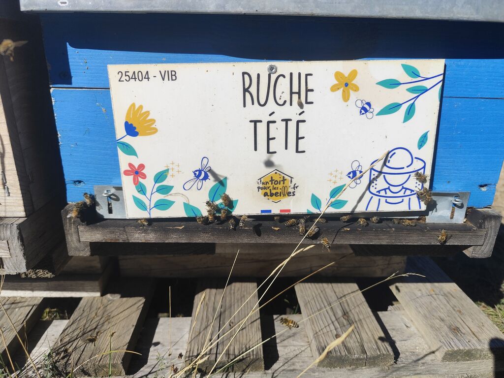 La ruche Tété