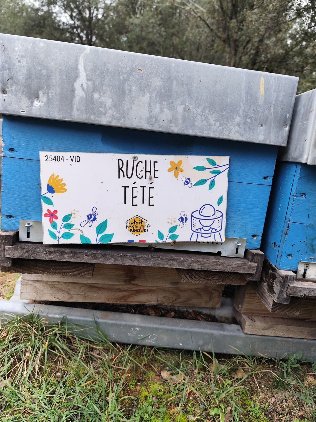 La ruche 