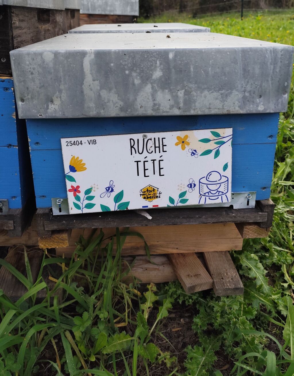 La ruche Tété