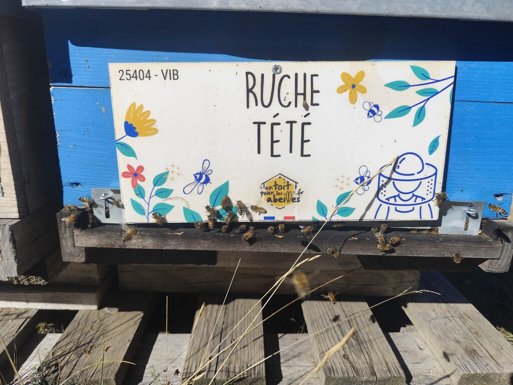 La ruche Tété