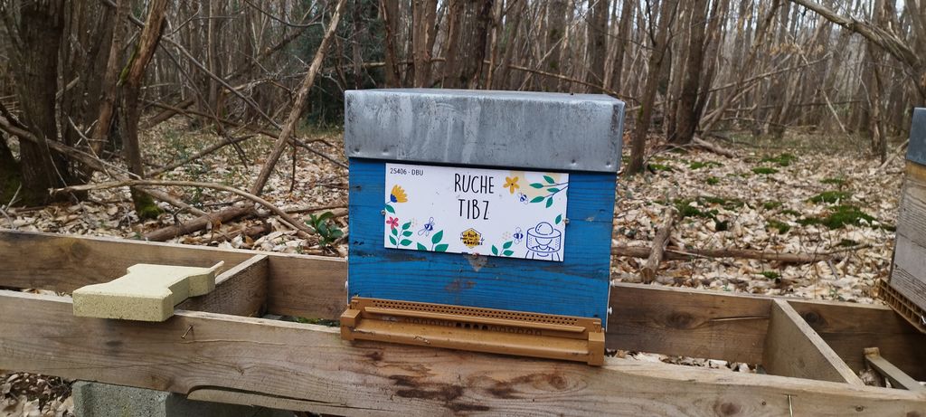 La ruche Tibz
