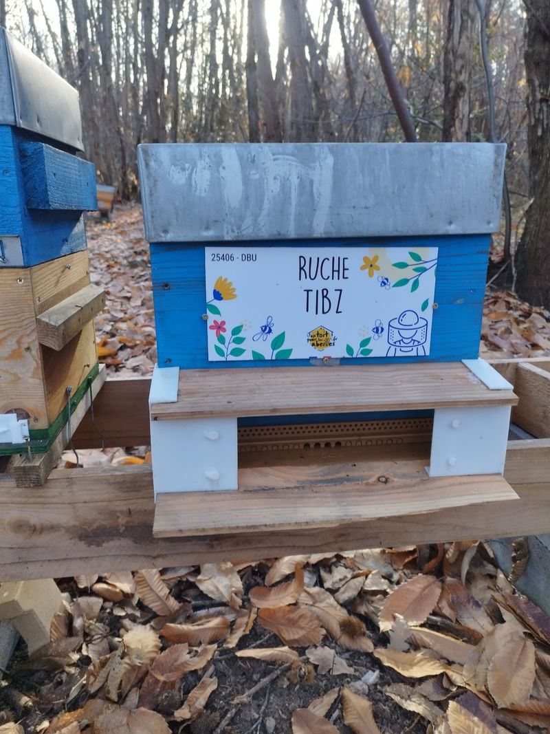 La ruche Tibz