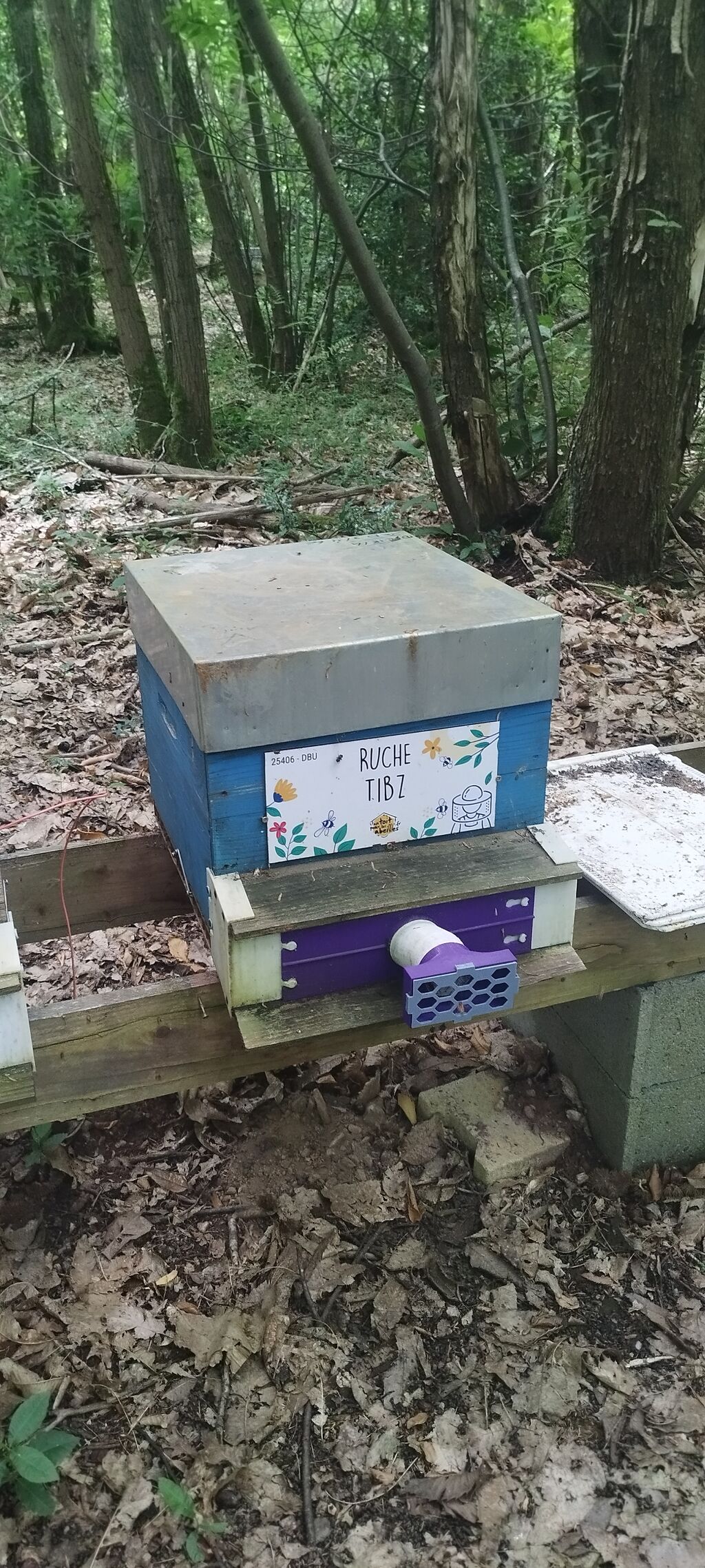 La ruche Tibz