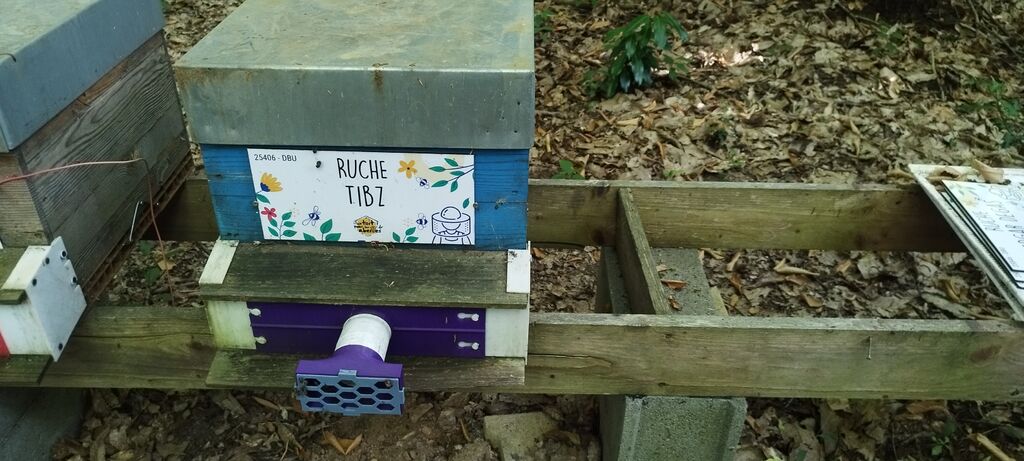 La ruche Tibz