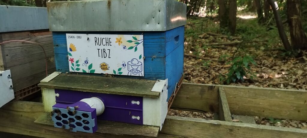 La ruche Tibz