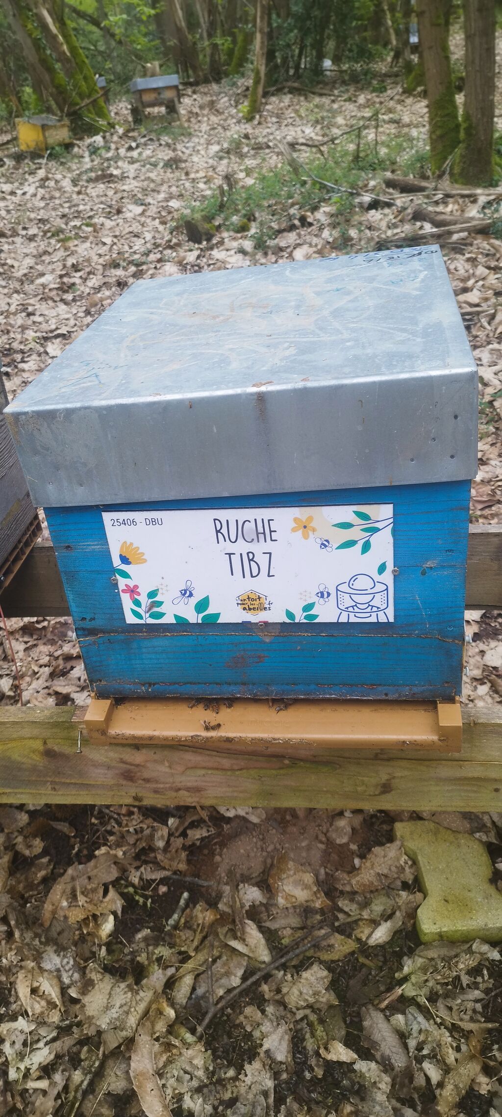 La ruche Tibz