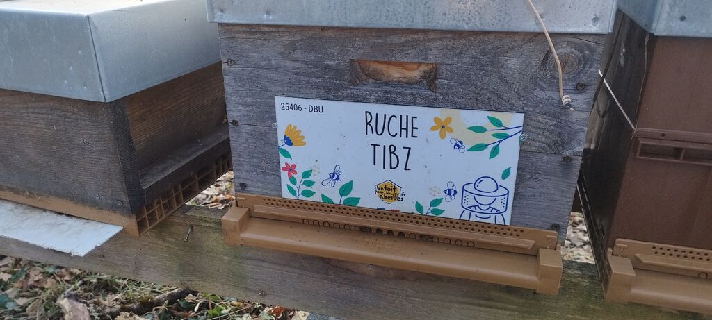La ruche Tibz