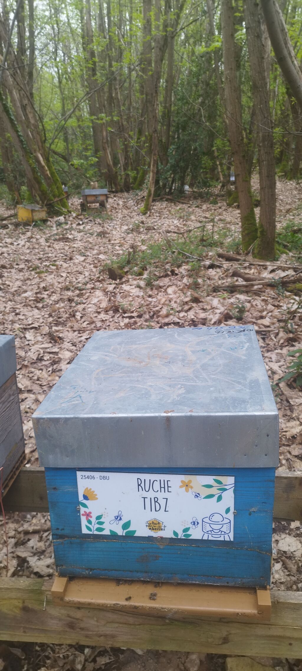 La ruche Tibz