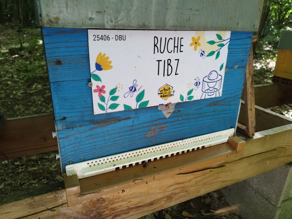 La ruche Tibz