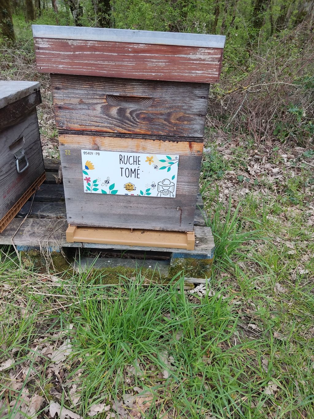 La ruche Tomé