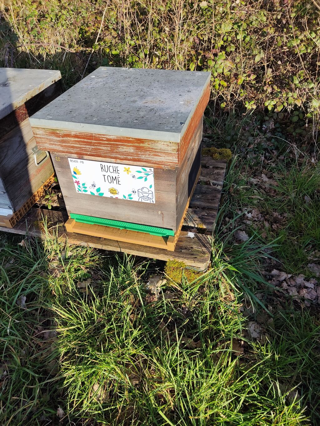 La ruche Tomé
