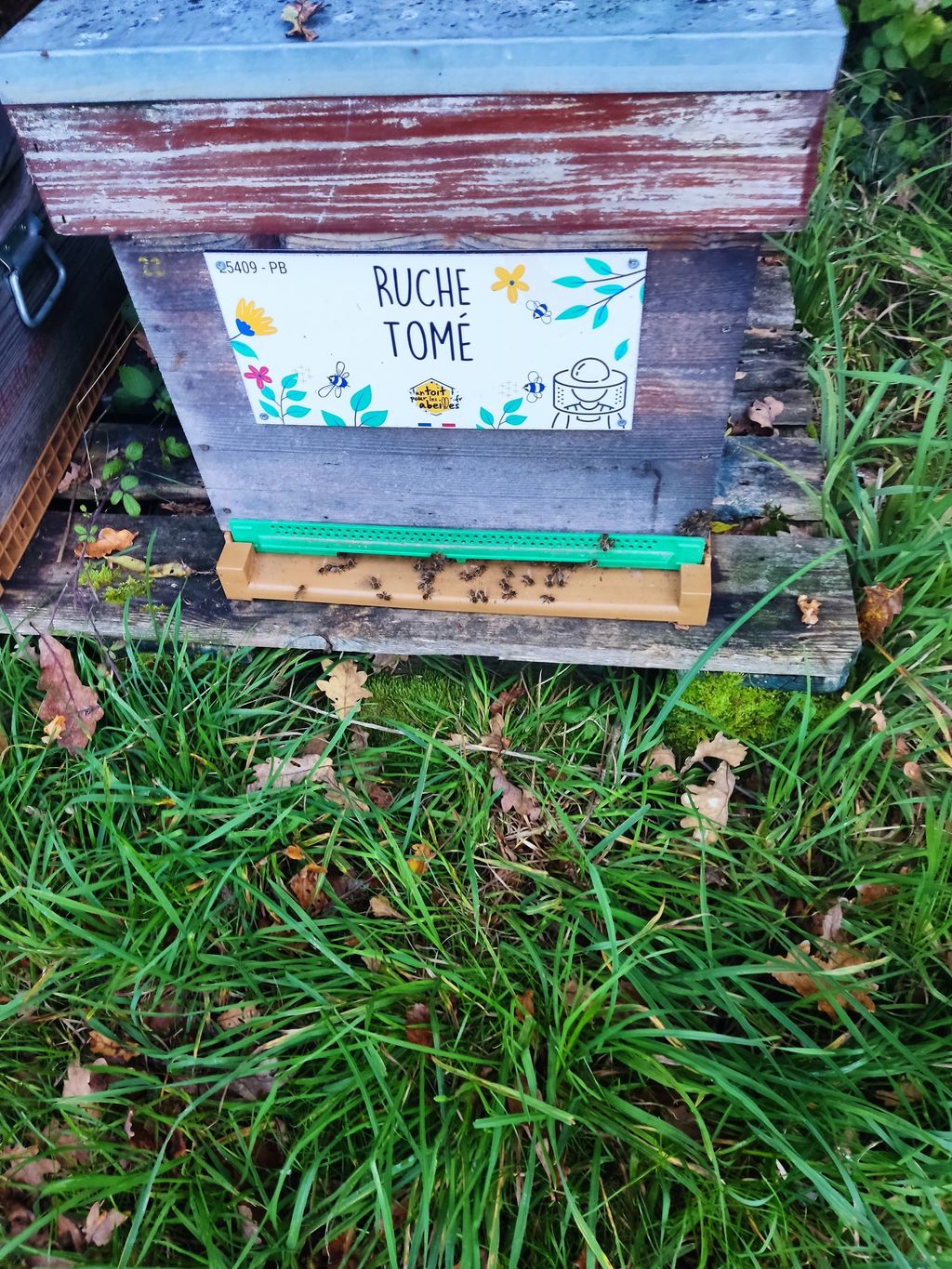 La ruche Tomé
