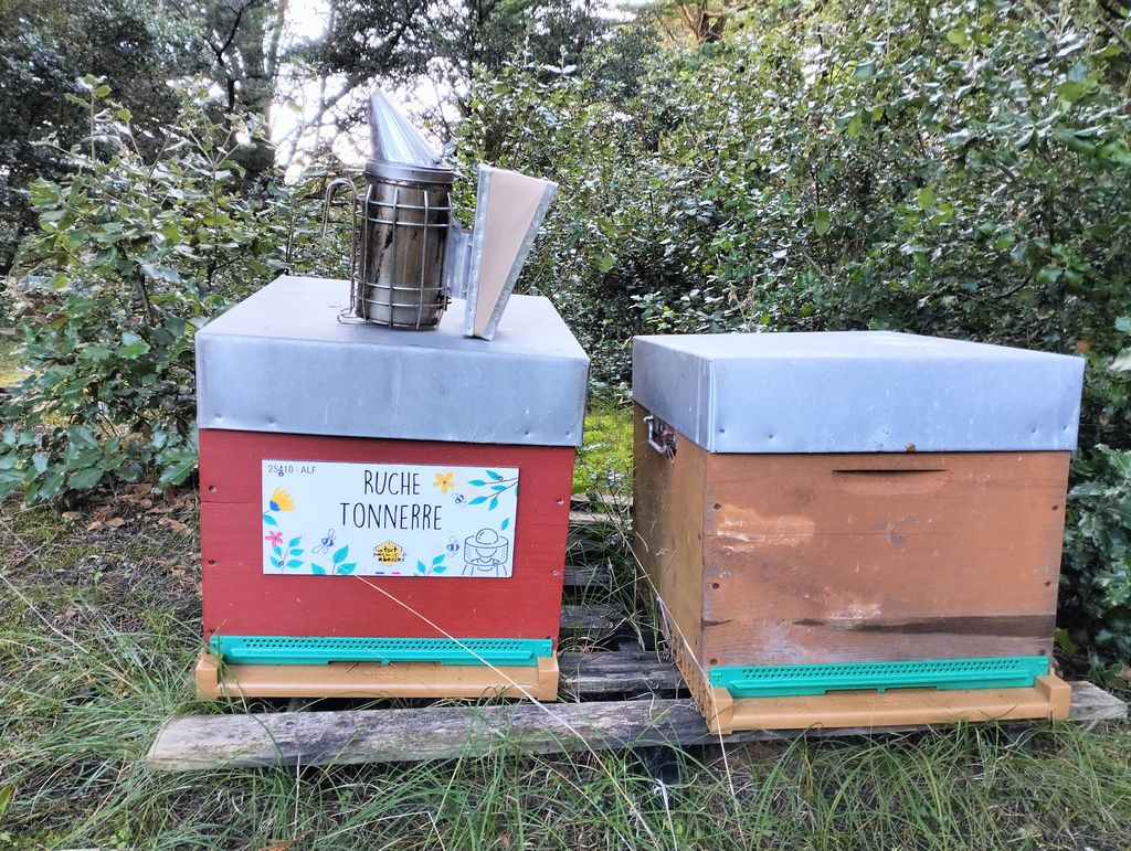 La ruche Tonnerre