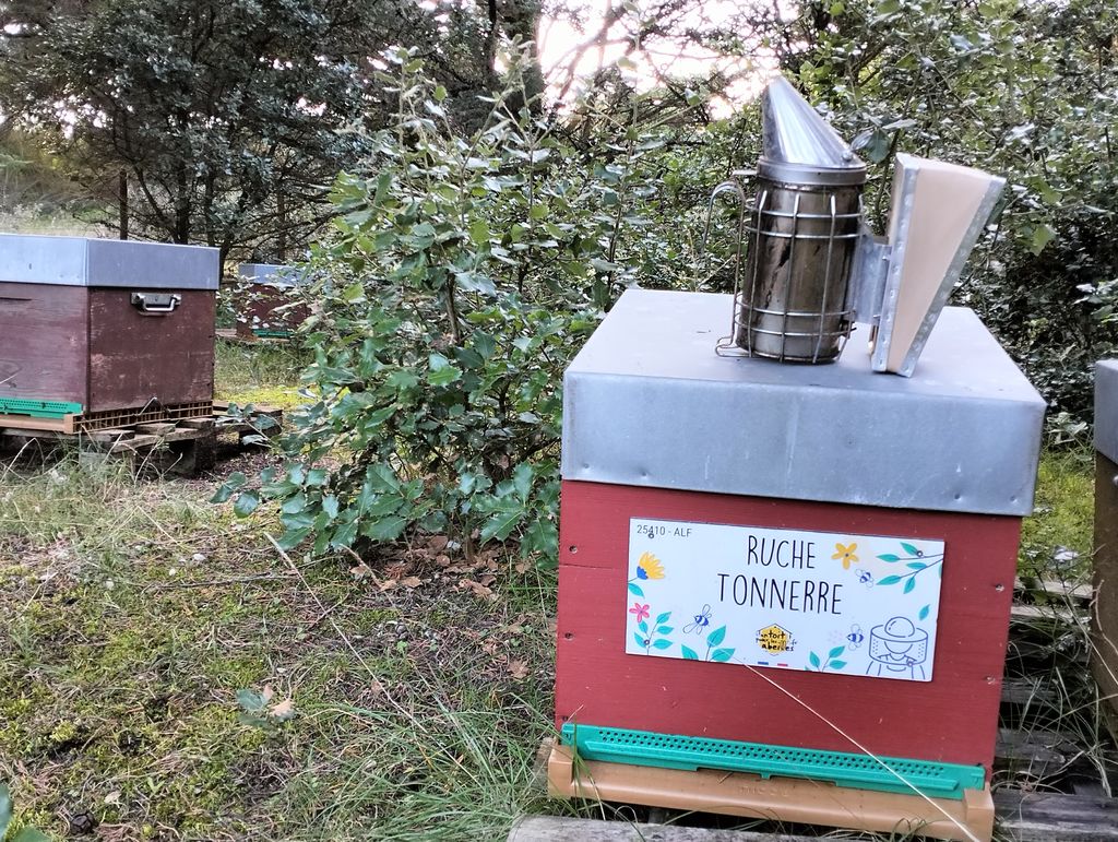 La ruche Tonnerre