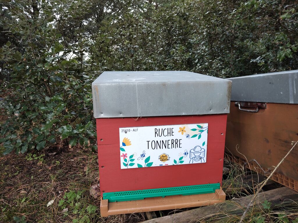 La ruche Tonnerre