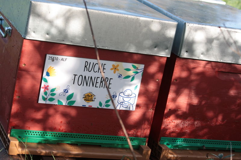 La ruche Tonnerre