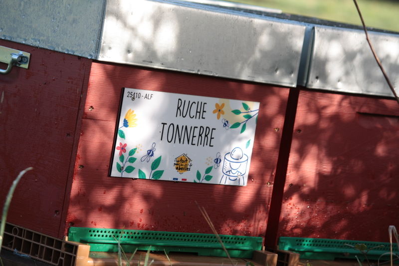 La ruche Tonnerre