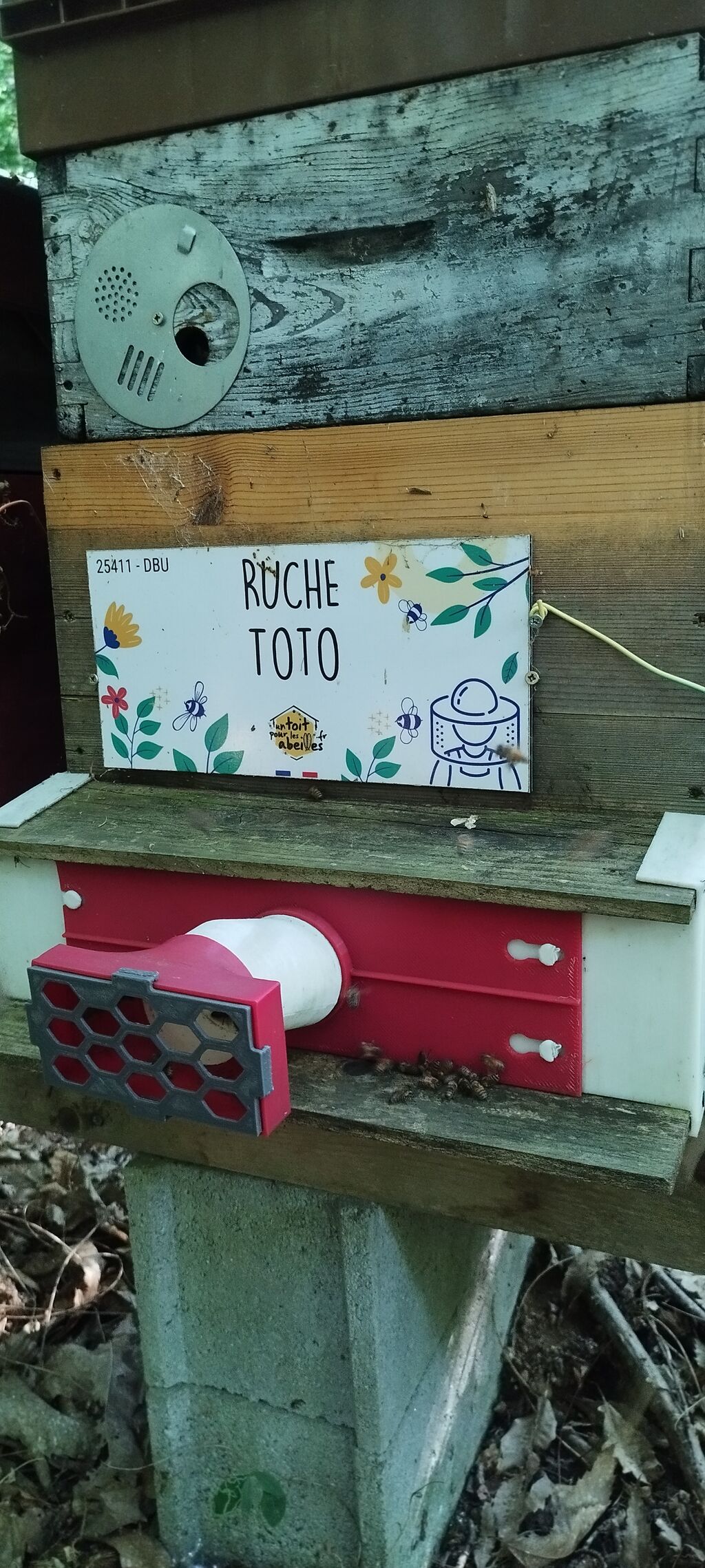 La ruche Toto