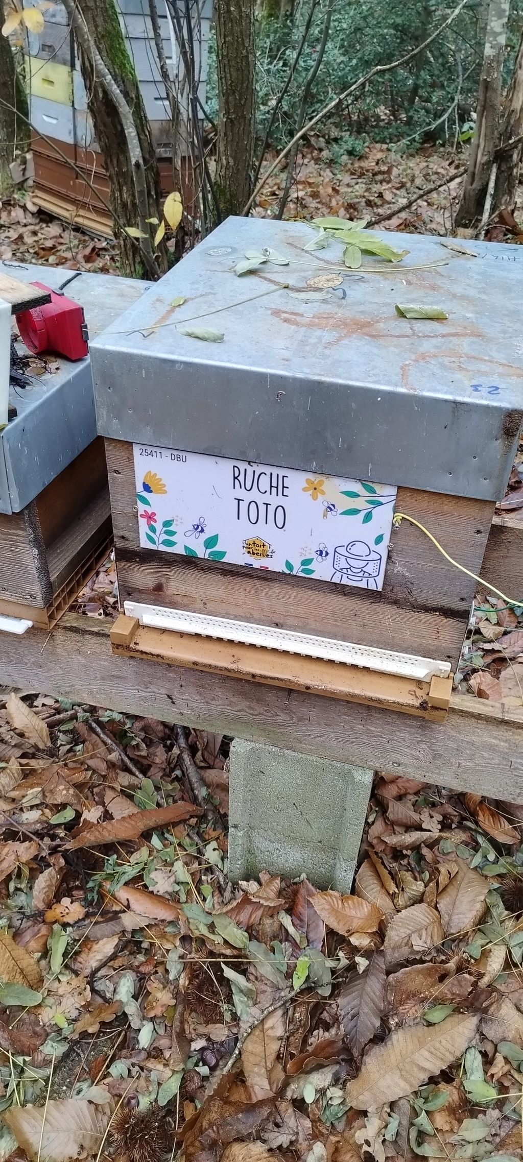 La ruche Toto