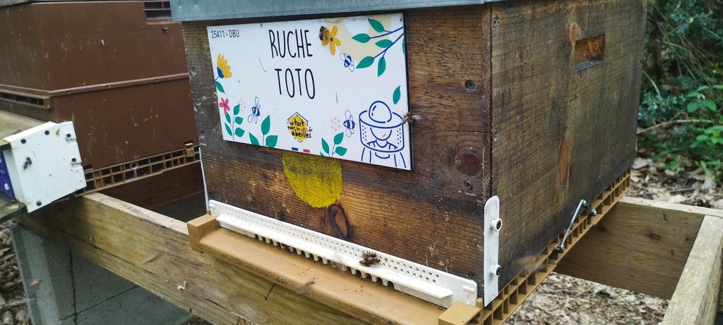 La ruche Toto