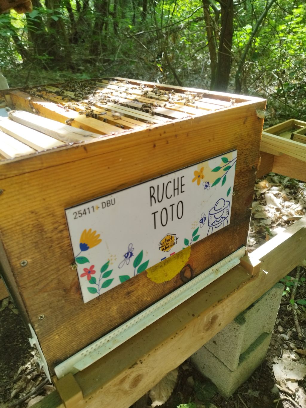 La ruche Toto