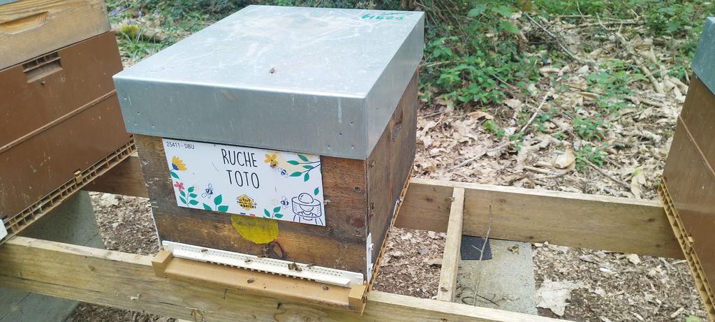 La ruche Toto
